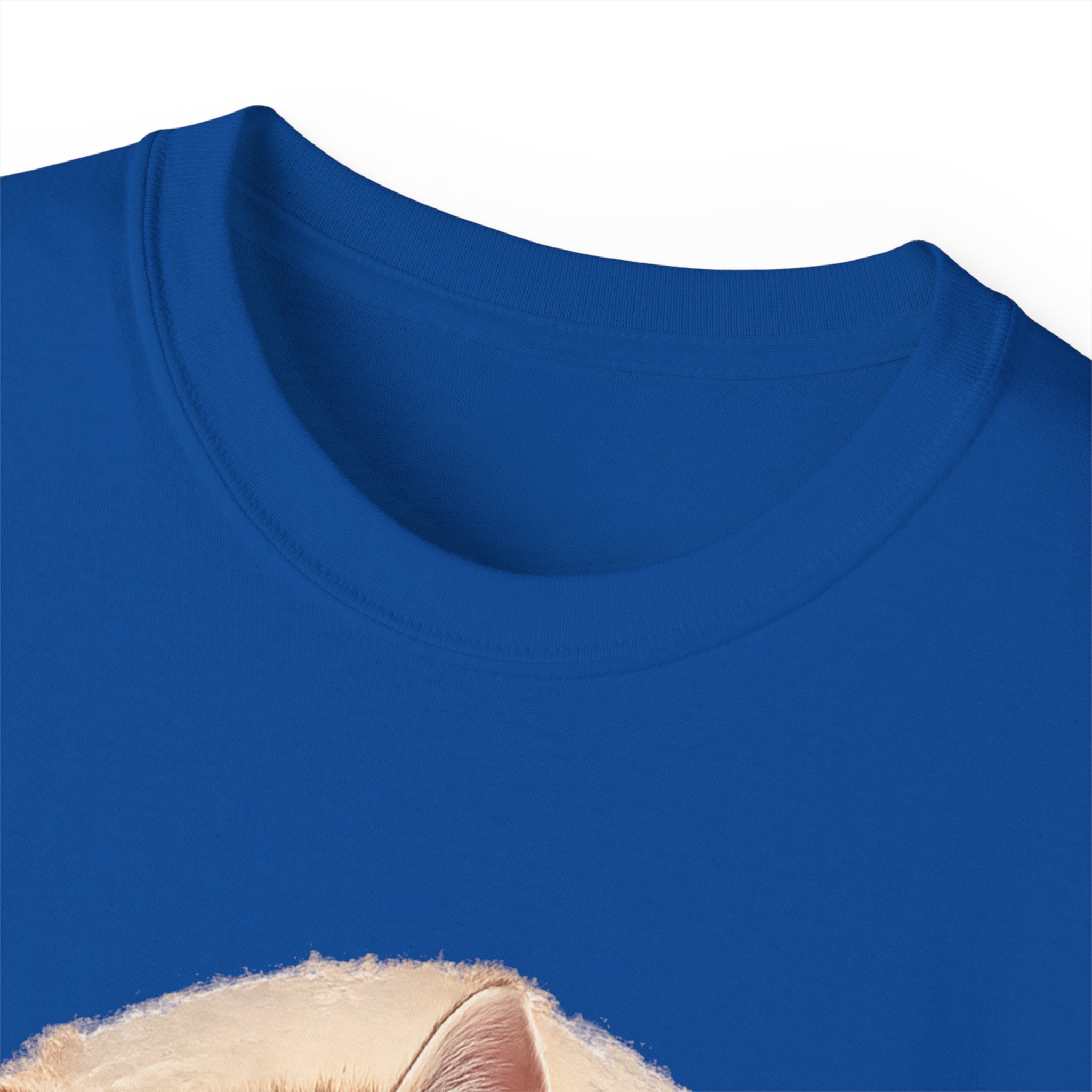 Unisex Ultra Cotton Tee