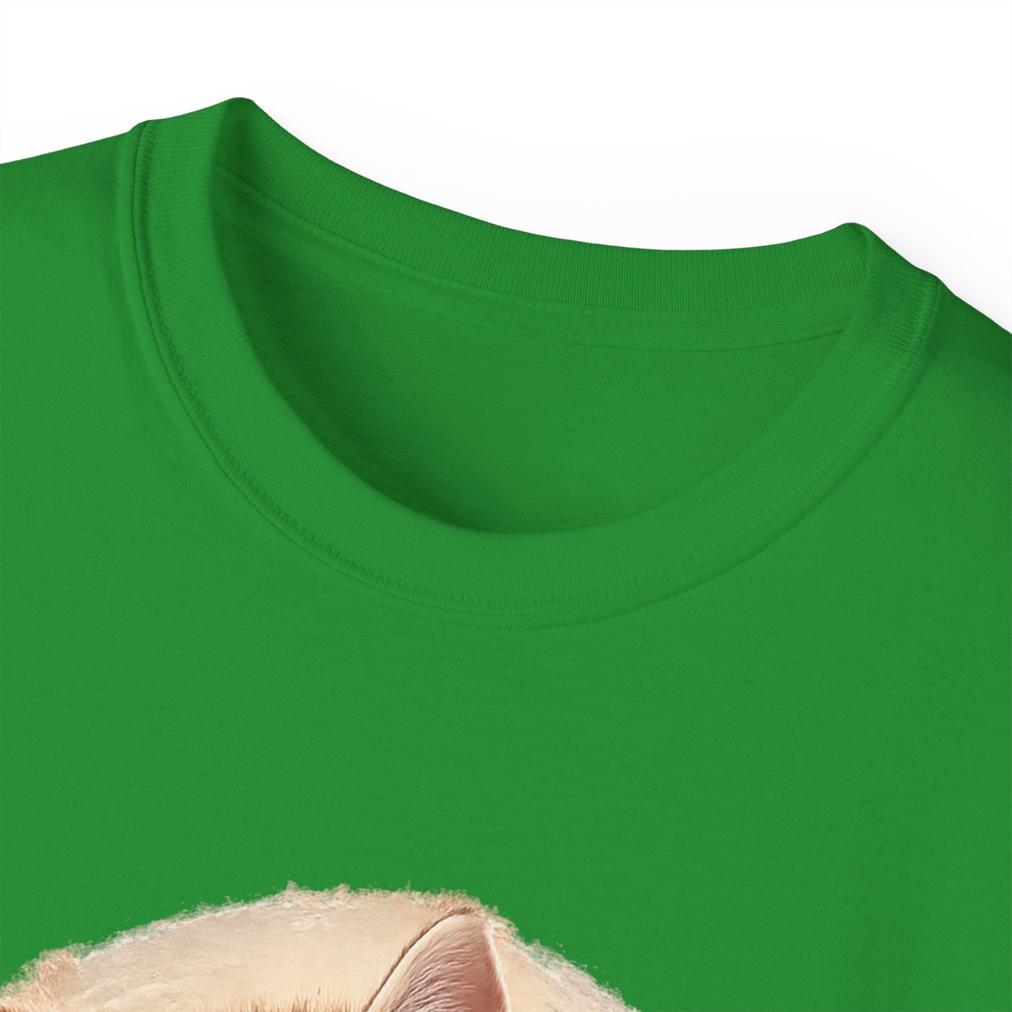 Unisex Ultra Cotton Tee